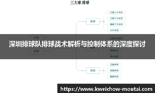 深圳排球队排球战术解析与控制体系的深度探讨
