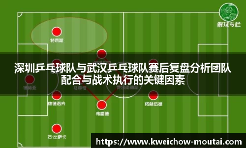 深圳乒乓球队与武汉乒乓球队赛后复盘分析团队配合与战术执行的关键因素